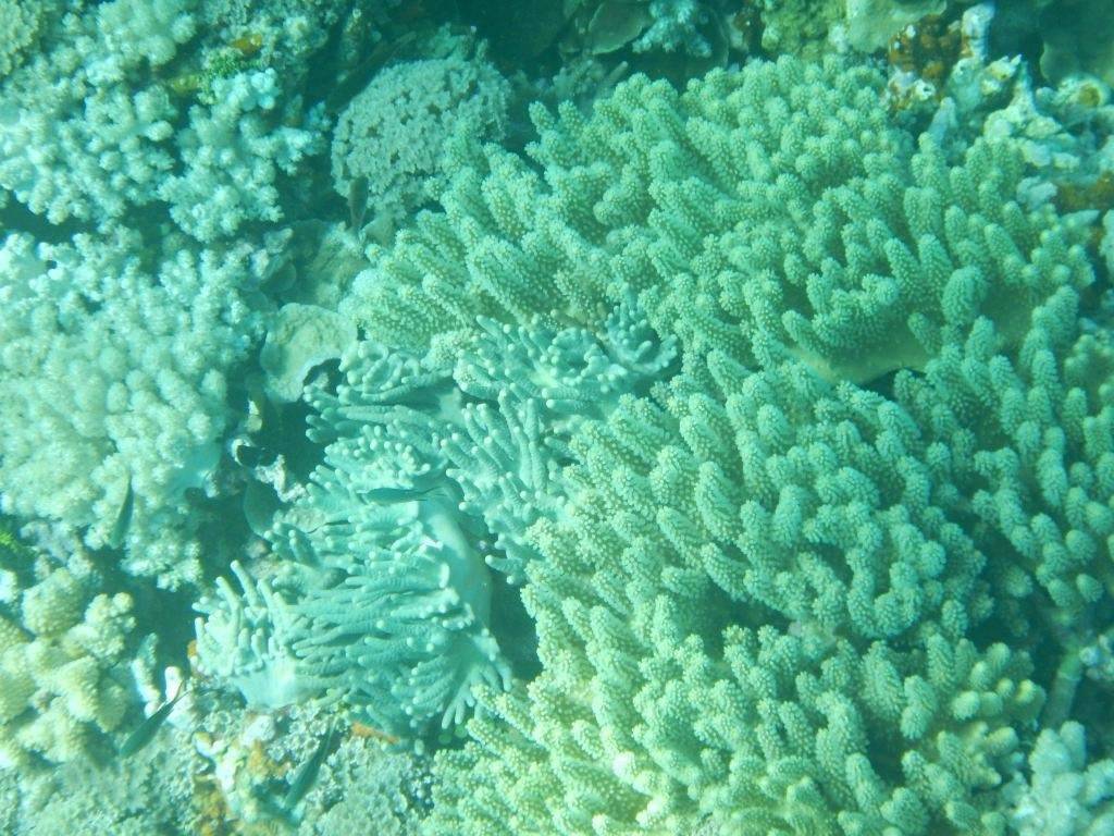 海南神秘的西沙群島:媲美馬爾代夫,只對(duì)中國(guó)游客開(kāi)放